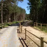 Niezapominajka