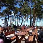 Lodge Niezapominajka *