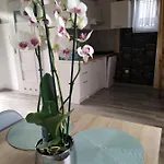 Lodge Niezapominajka *