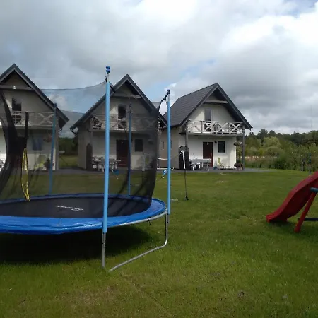 Niezapominajka Orman Evi