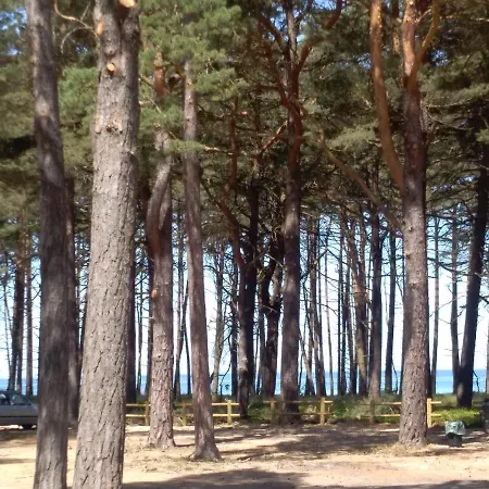 Niezapominajka Деревянный коттедж