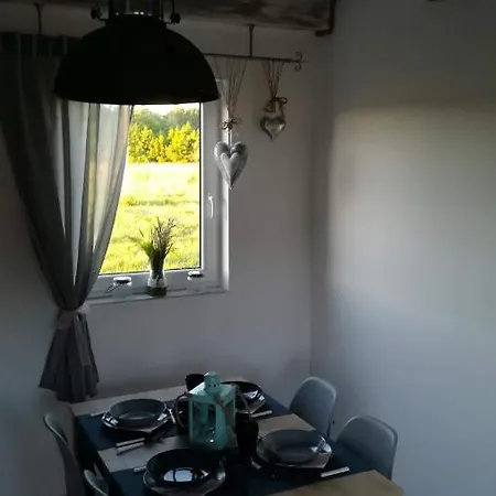 Niezapominajka