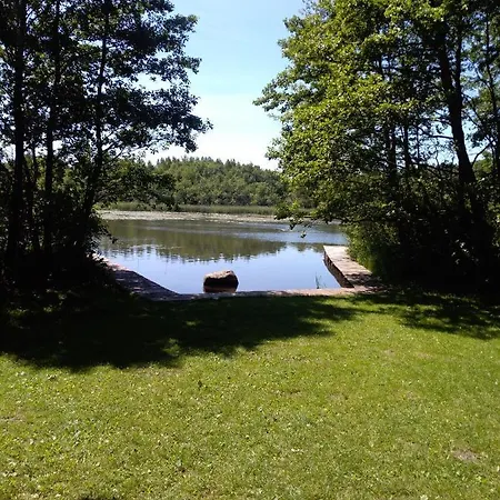 Niezapominajka Orman Evi