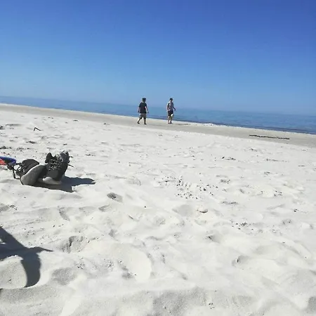 Orman Evi Niezapominajka