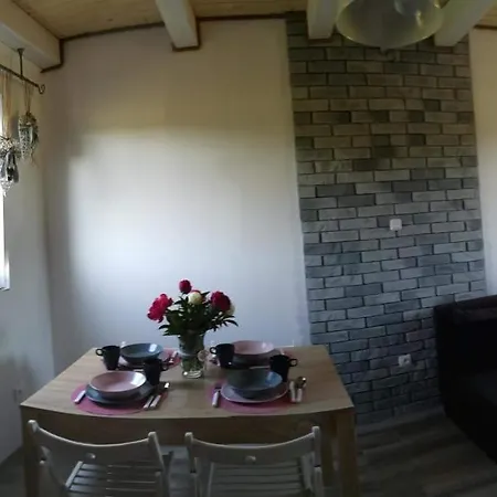 Niezapominajka Orman Evi Kopalino