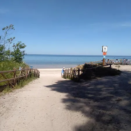 Niezapominajka Kopalino