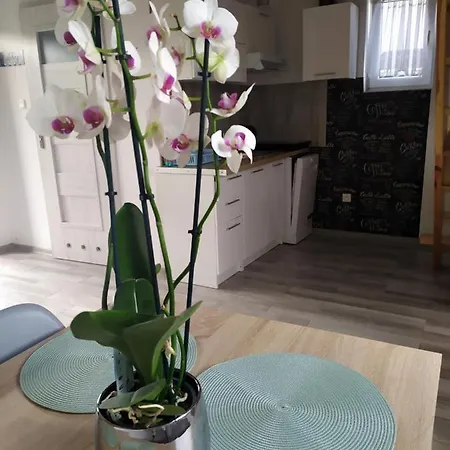 Orman Evi Niezapominajka *