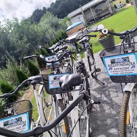 Niezapominajka * Kopalino