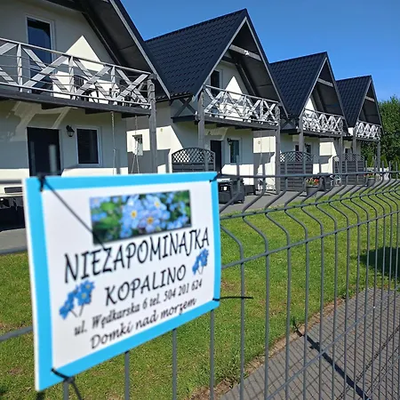 Niezapominajka Деревянный коттедж Копалино