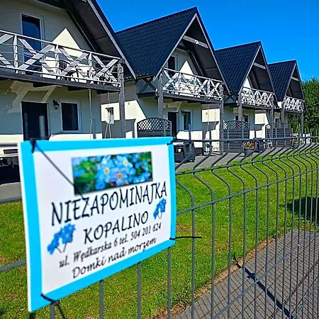 Niezapominajka *