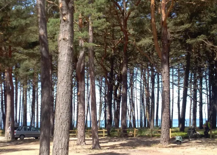 Niezapominajka Деревянный коттедж