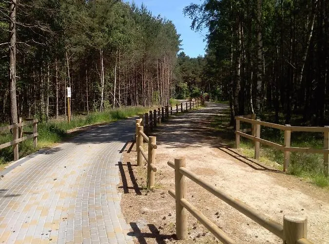 Niezapominajka