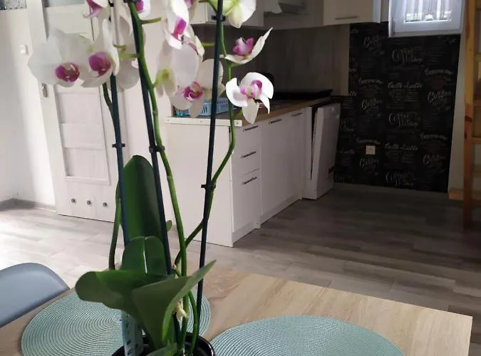 Lodge Niezapominajka *