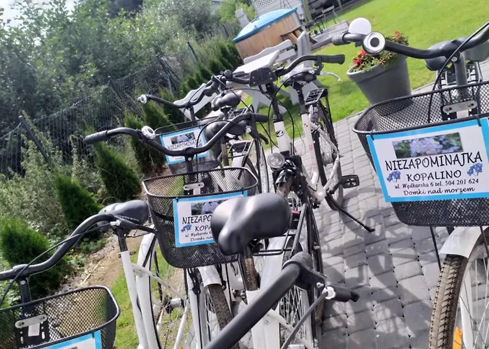 Niezapominajka * Kopalino