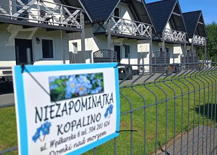 Niezapominajka Lodge Kopalino